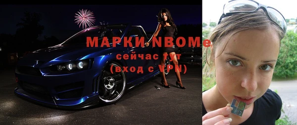индика Лысьва