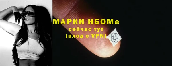 ГАЛЛЮЦИНОГЕННЫЕ ГРИБЫ Новозыбков