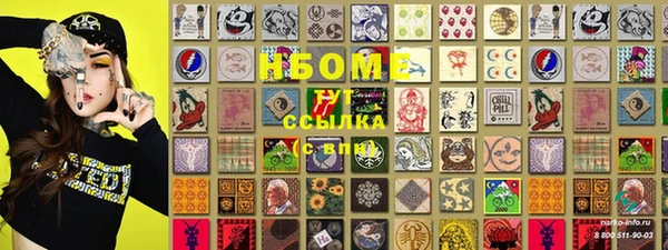 соль ск Новодвинск