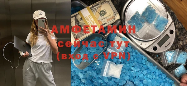 ГАЛЛЮЦИНОГЕННЫЕ ГРИБЫ Новозыбков