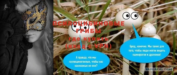 ГАЛЛЮЦИНОГЕННЫЕ ГРИБЫ Нея