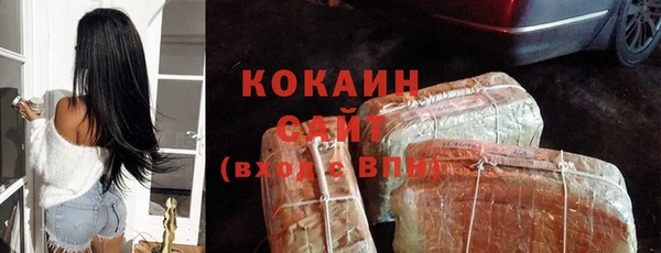ГАЛЛЮЦИНОГЕННЫЕ ГРИБЫ Новозыбков
