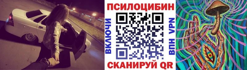 купить наркоту  Лосино-Петровский  Галлюциногенные грибы GOLDEN TEACHER 