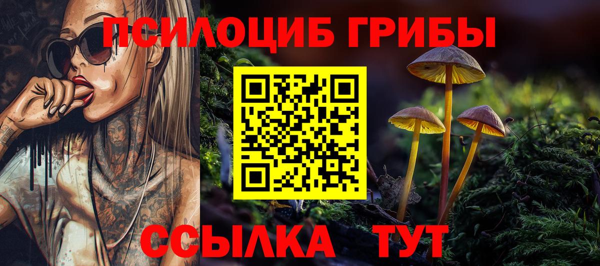 Псилоцибиновые грибы прущие грибы Лосино-Петровский